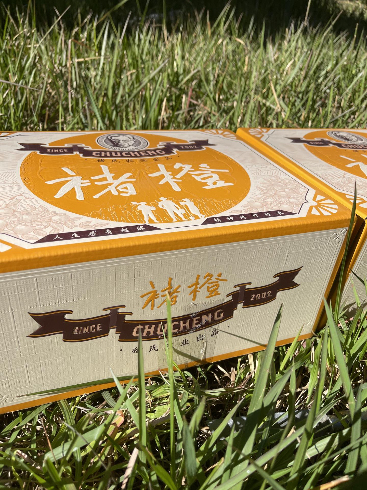 每箱带防伪二维码一件代发货云南褚橙特选褚橙礼盒10斤饱满多汁