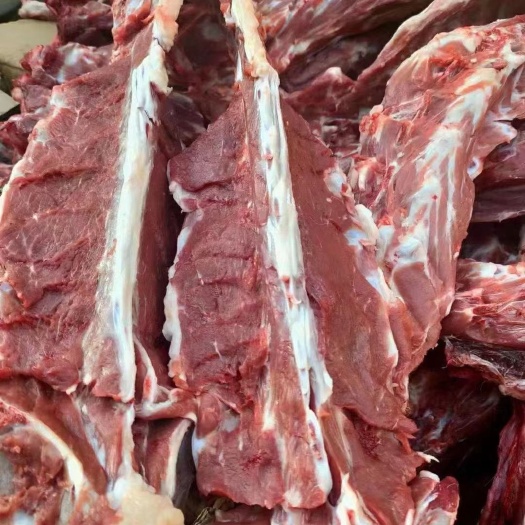 内蒙新鲜加肉羊蝎子 羊脊骨