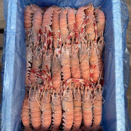 乳山市海鳖虾