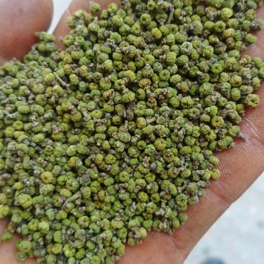 樟树市吴茱萸