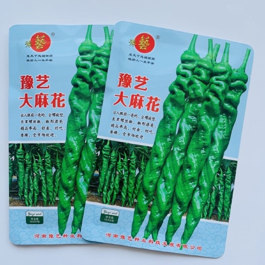 沭阳县原厂包装 豫大（麻花 辣椒种子基地 四季种植 抗病 辣椒
