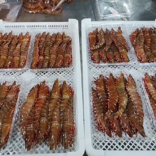 斑节虾一种叫红爪虾 一斤装 活冻 深海海捕新鲜活冻鬼虾