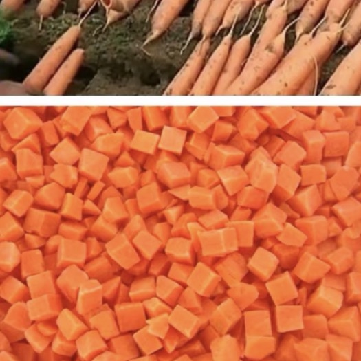 漳州干胡萝卜
