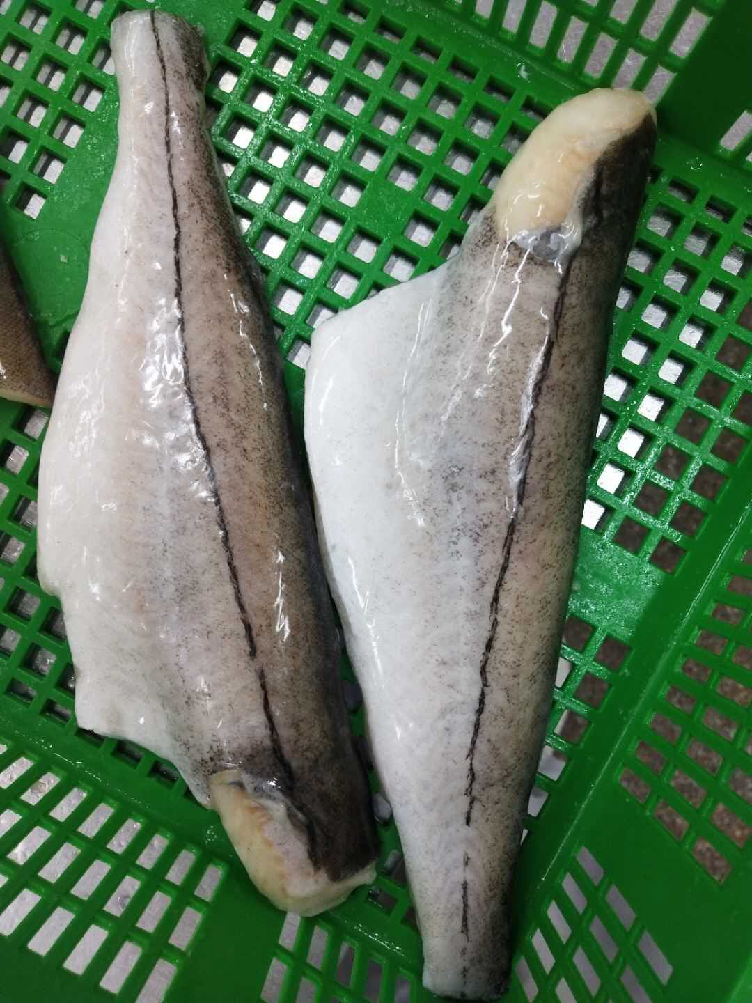 青岛鳕鱼 太平洋真鳕鱼 黑线鳕