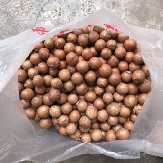宁洱县坚果，自家种植，无加工，原味，中大果25一斤