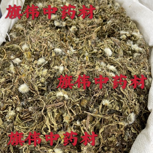 亳州蒲公英 产地大货 欢迎选购！