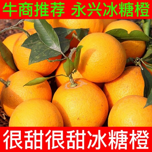 汝城县【精选】冰糖橙冰糖橙大量上市 供应各大电商平台 团购一件代发