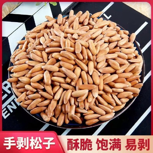 新货大颗粒巴西松子手剥松子原味薄壳罐装坚果批发代发