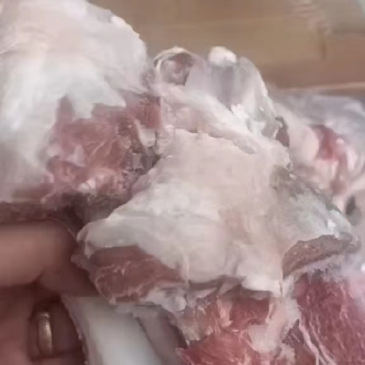 包头精品羊棒，