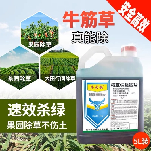 永农生物10%精草铵膦铵盐荒地杂草牛筋草小飞蓬除草烂根剂
