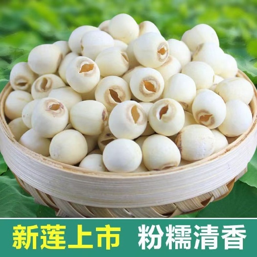亳州莲子去芯磨皮白莲子干货煮粥味香浓郁可磨粉