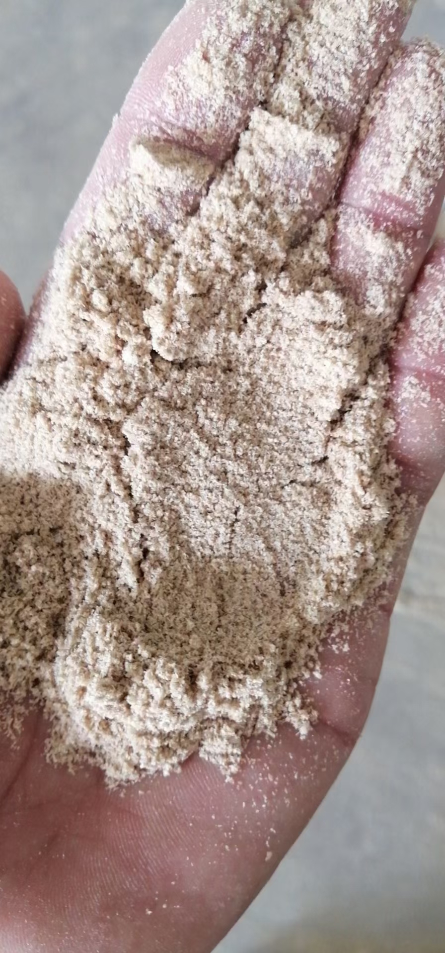 蚌埠大片混合细麦麸，保证质量，价格优惠