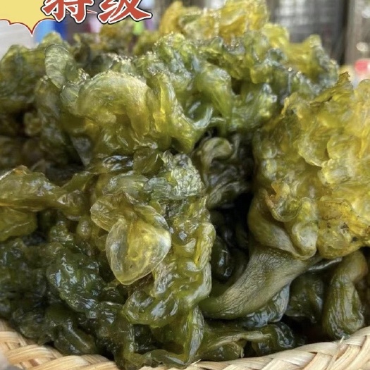 大化县新鲜采摘地皮菜地木耳地软新鲜真真正正免洗无沙