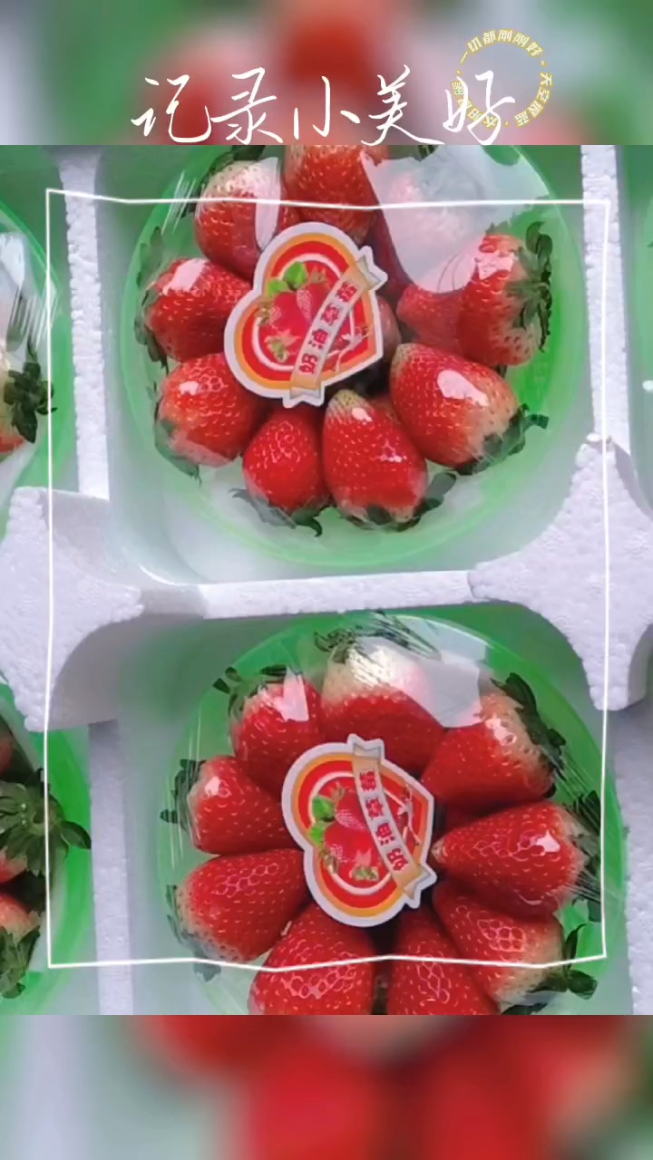 太和县安徽阜阳天仙醉草莓大量上市。货源充足。每次货量二万斤以上。
