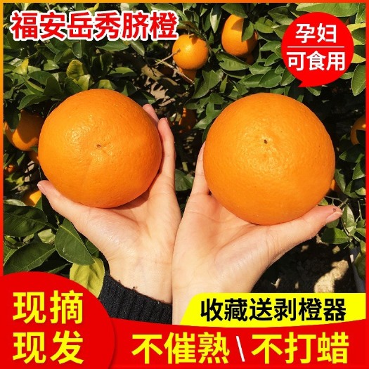 福建纽荷尔脐橙非赣南脐橙秭归橙，支持一件代发，长期招代理
