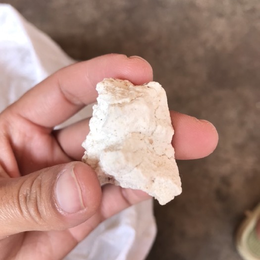 宁洱县茯苓，乱坨，自然晒干，大块干燥，自己家的