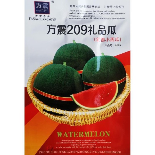 邵东市礼品黑皮西瓜种籽高甜度四季播薄皮水果种籽孑