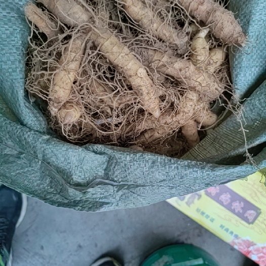 澧县湘玉竹