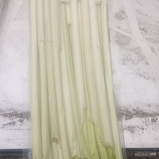 微山县蒲菜批发