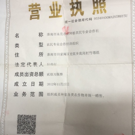 淮南永亮农业种植农民专业合作社旗下淮南天天草莓果蔬自产自销