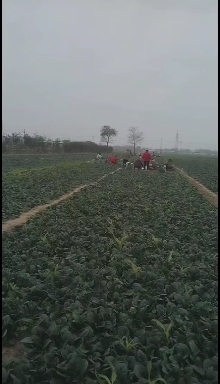 杞县量大从优