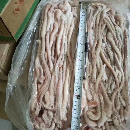 沂南县猪鞭
