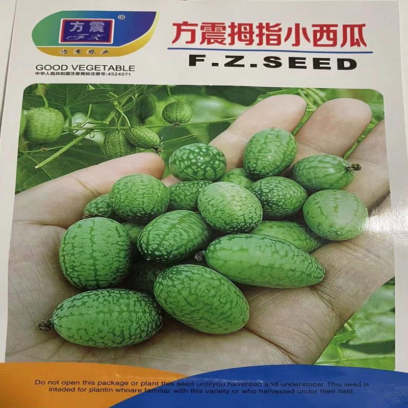 拇指西瓜种子种籽四季母子手指西瓜子水果种庭院阳台盆栽种子