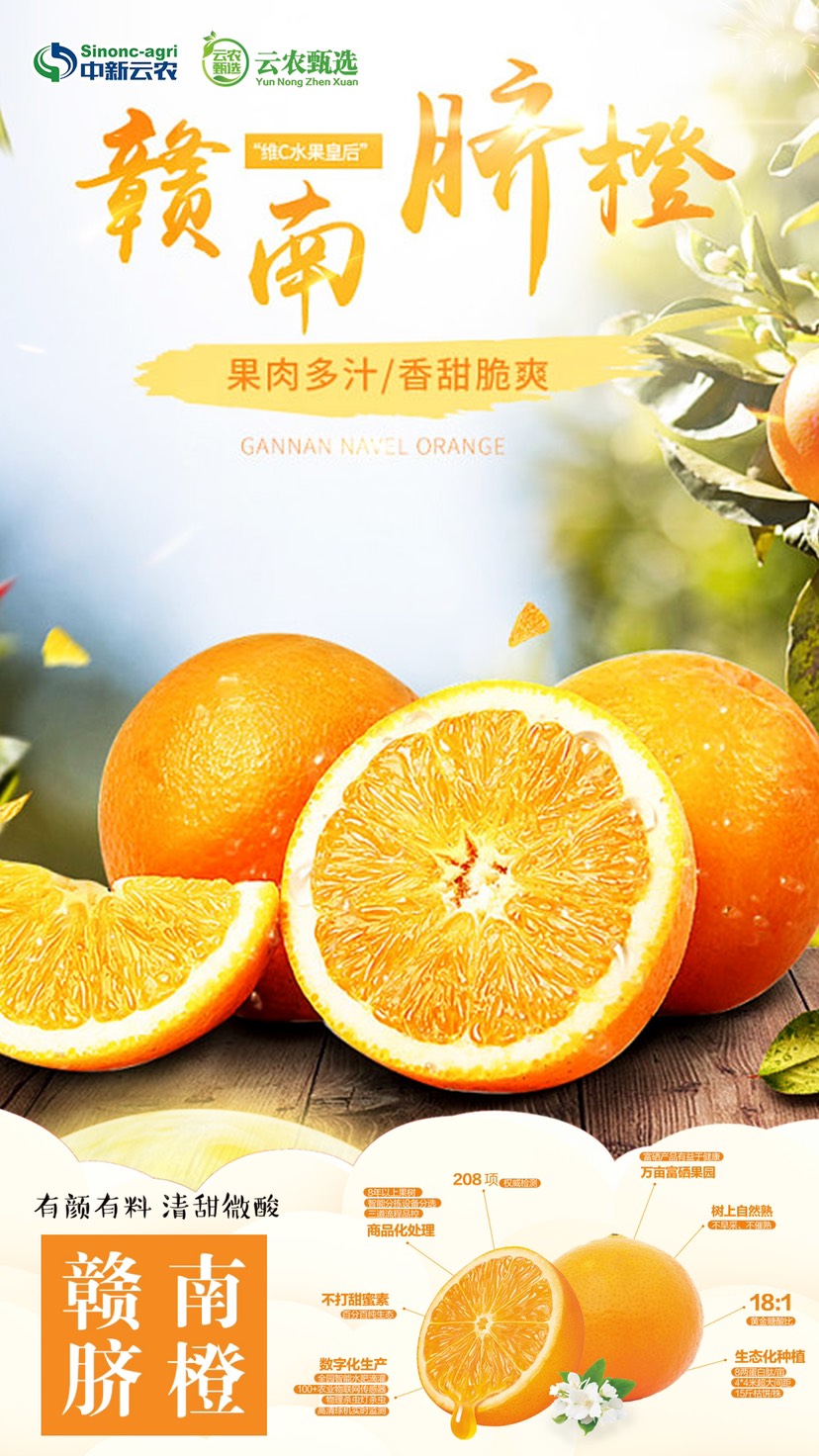 中新云农赣南脐橙10斤带盒新鲜水果当季直发新鲜采摘