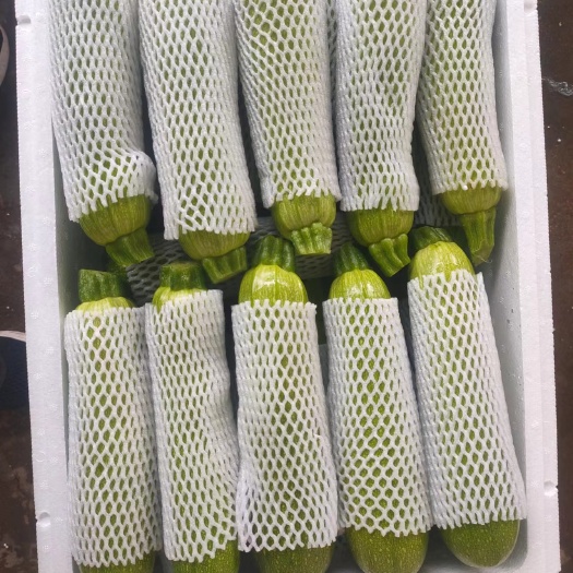 天津批发