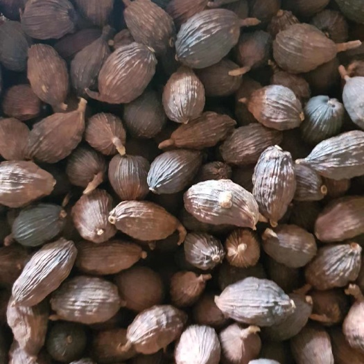 玉林广西玉林优质草果选货500g