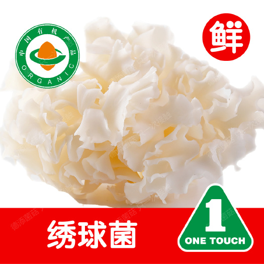 上海绣球菌