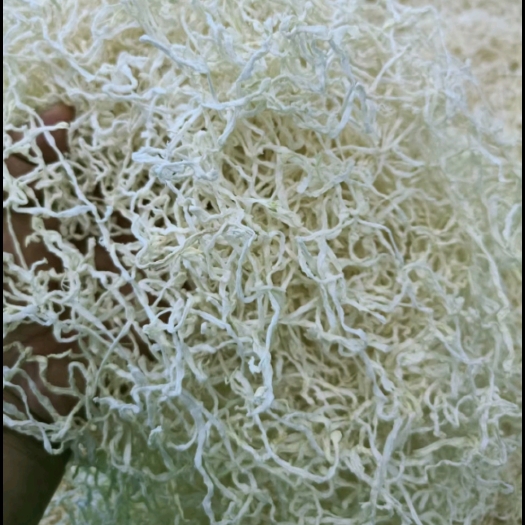 云南大理風(fēng)干白蘿卜絲