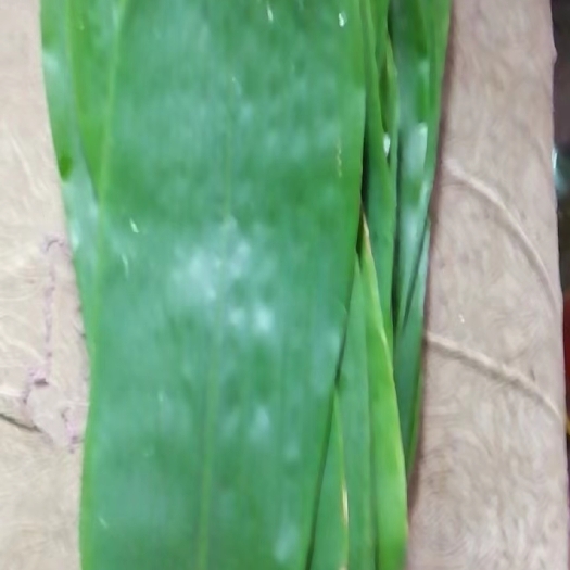 安龙县粽叶色香味俱佳，