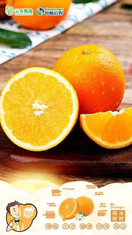 中新云农赣南脐橙10斤带盒新鲜水果当季直发新鲜采摘