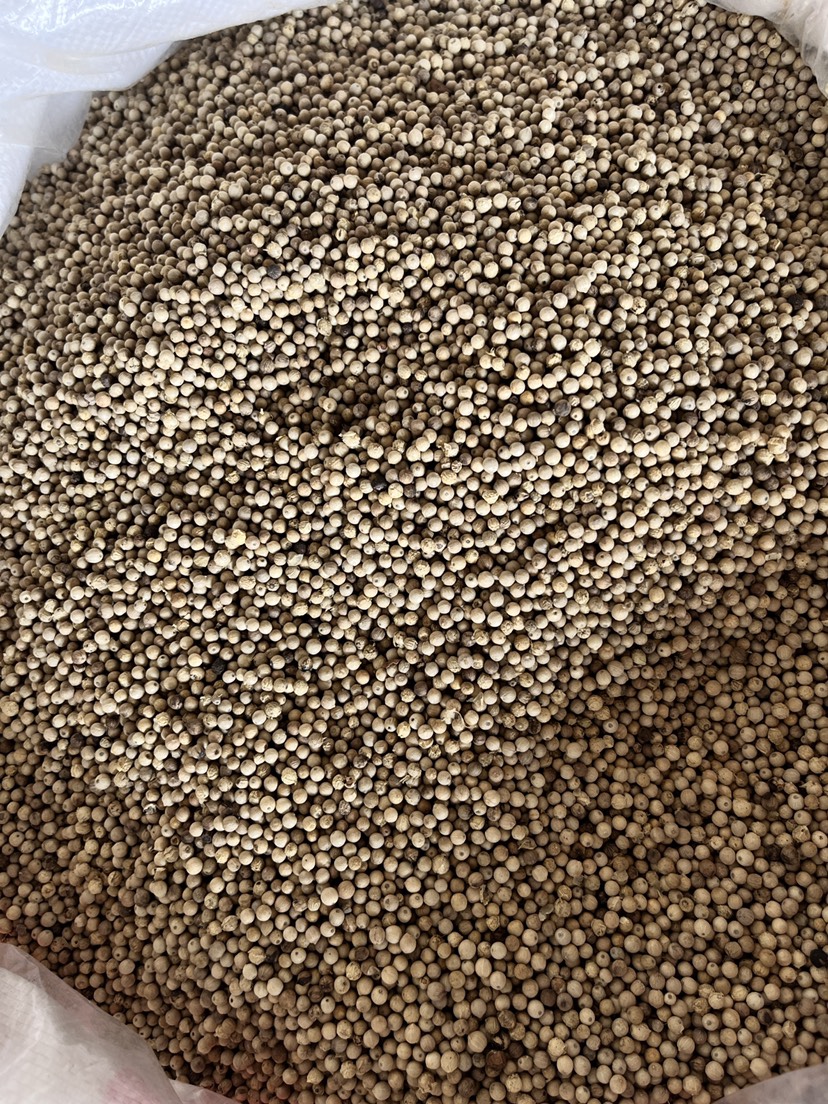 海南白胡椒粒原货足干香料