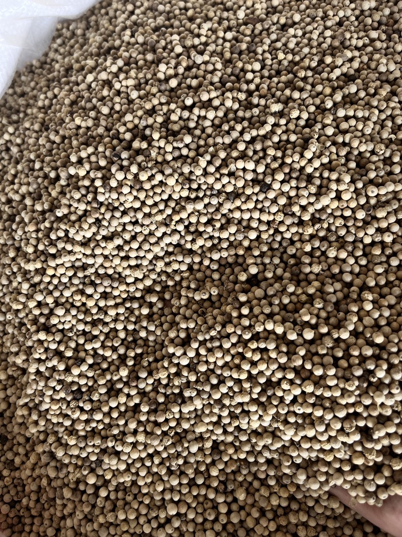 海南白胡椒粒原货足干香料