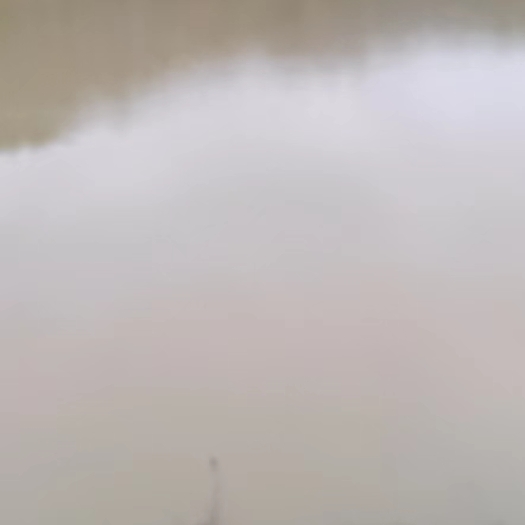 辰溪县草鱼 鲤鱼 田鱼