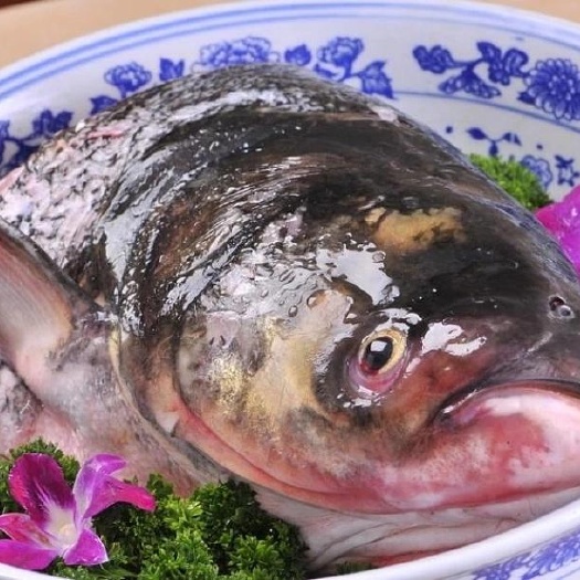 来安县不喂饲料，自然生长，有机大花鲢。大约5-7斤/条。