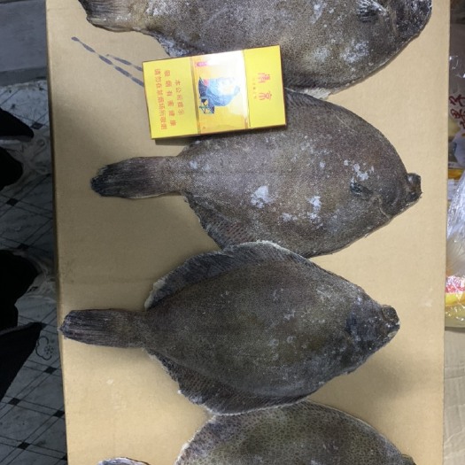 青岛特大鼓眼鱼，批发