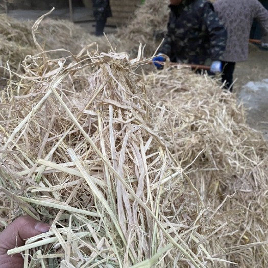 仙桃市23年水稻秸秆大方捆牛羊草料过夏过冬草料干牧草