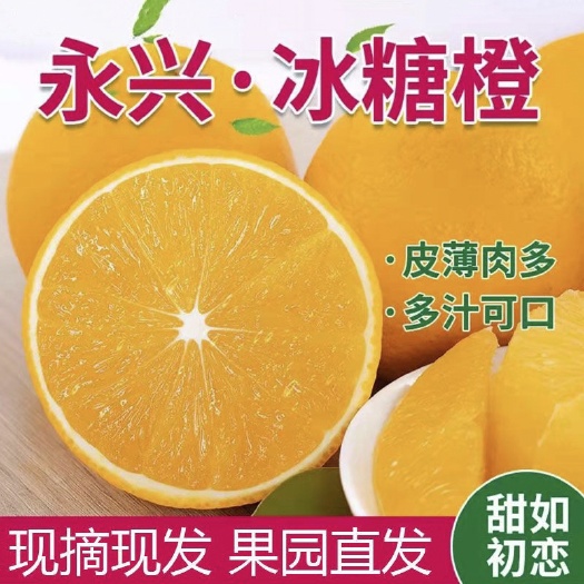 资兴市冰糖橙好吃不上火湖南郴州果园现摘现发