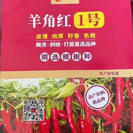 鸡泽县羊角红辣椒种子