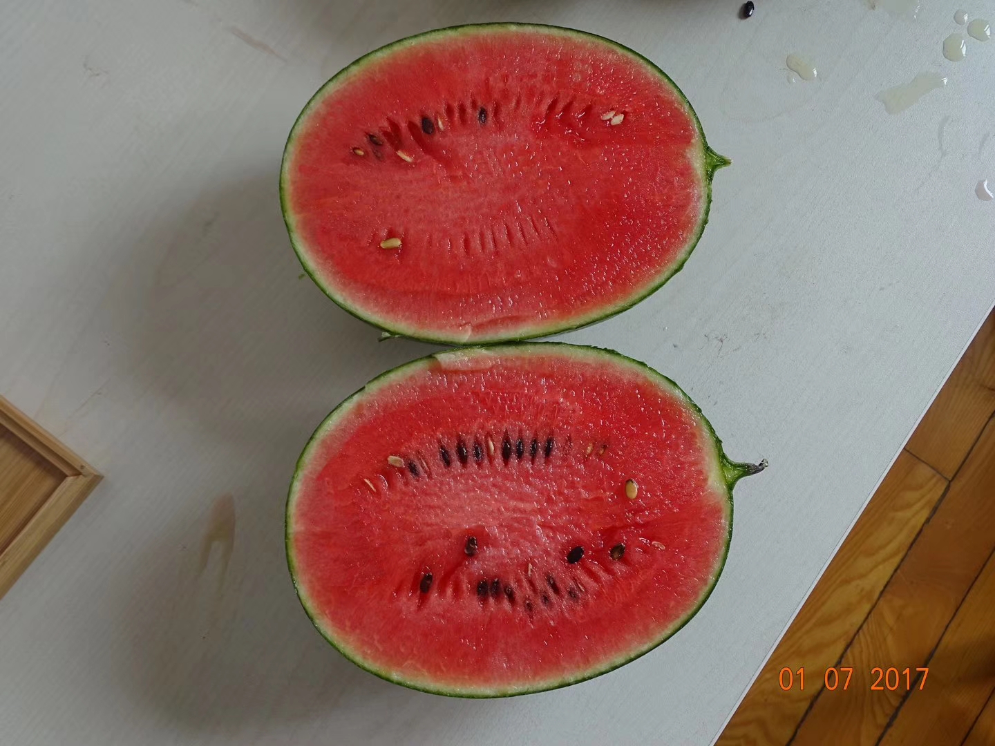 天禧早春红玉西瓜种子早熟皮薄坚韧鲜红瓤，礼品西瓜种子基地专用