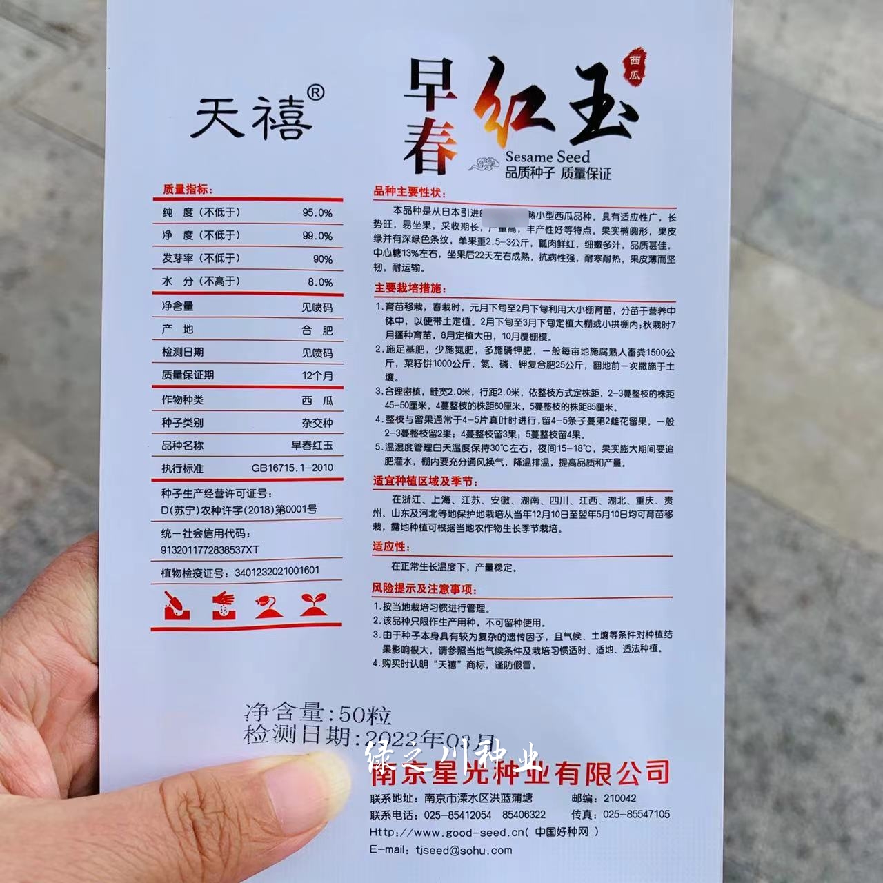 天禧早春红玉西瓜种子早熟皮薄坚韧鲜红瓤，礼品西瓜种子基地专用