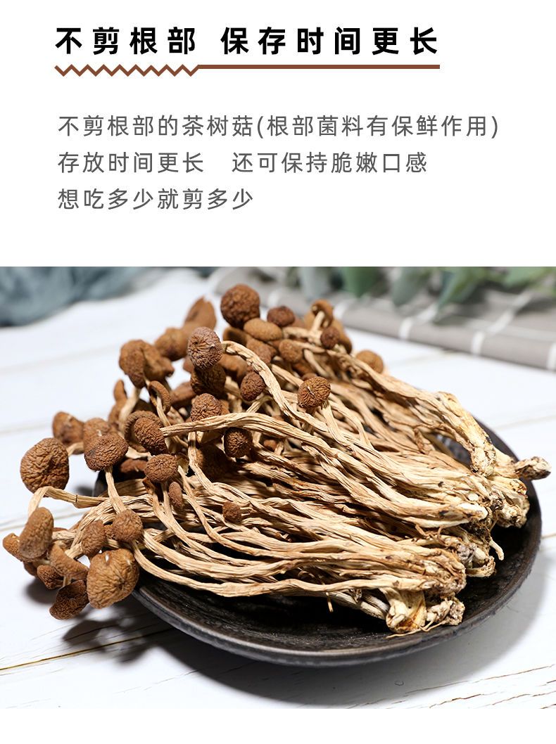 茶树菇