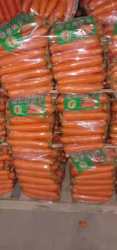 通许县胡萝卜三红胡萝卜精品水洗胡萝卜大量供应