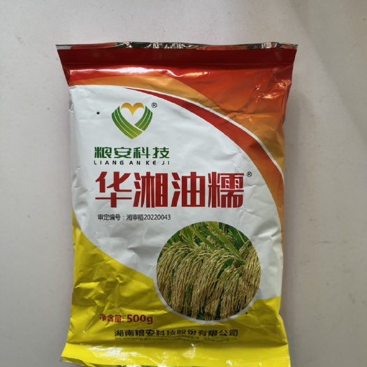 华容县华湘油糯糯谷种子抗性强米质好饭好吃生育期129天左右原装