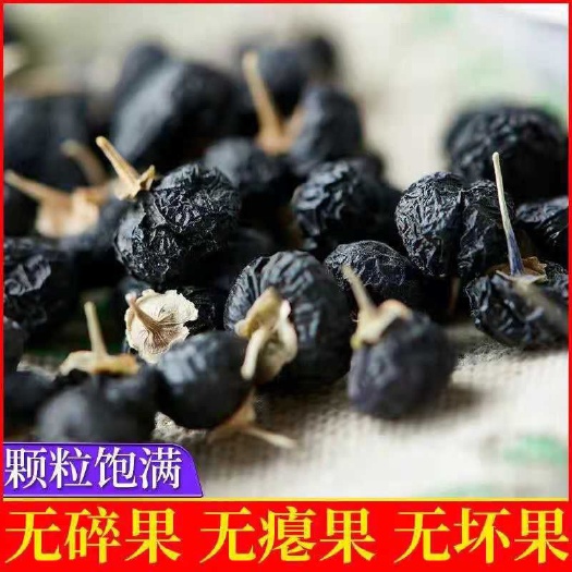 酒泉黑枸杞新鲜黑果枸杞免洗脱蜡原产地批发枸杞之乡玉门小金湾