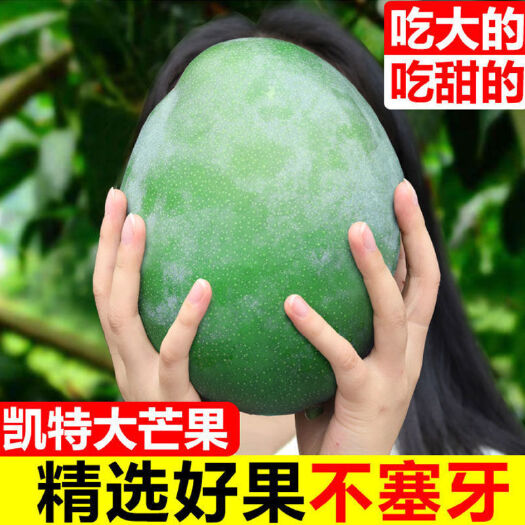 芜湖四川攀枝花凯特芒果新鲜大青芒应季水果整箱批发非金煌芒贵妃台