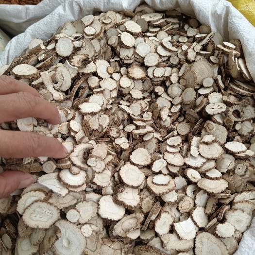 玉林无硫磺白芷川白芷芳香量大从优统货